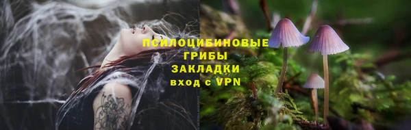 СК Дмитриев