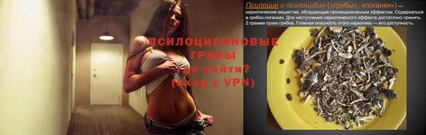 ECSTASY Алексеевка
