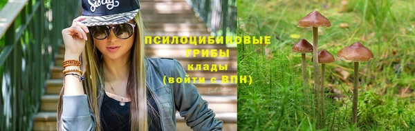 ECSTASY Алексеевка